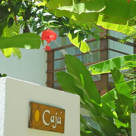 La Reserve Otel Praia de Pipa Dış mekan fotoğraf